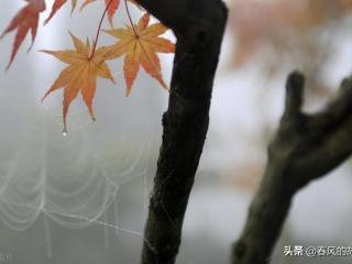 娶了一个二婚有出过轨的女人（找个二婚女人婚后出轨）