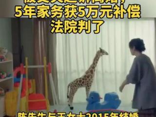 全职妈妈离婚补偿标准是多少（全职妈妈离婚获5万家务补偿）