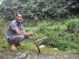 城市剩女多还是剩男多（为何剩女不嫁给剩男）