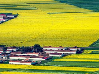 个人开的房记录查询网站（在这些地方可以进行个人房产查询）