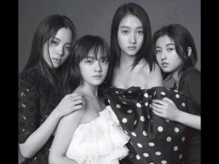 娱乐圈四小花旦（娱乐圈四小花旦新鲜出炉）