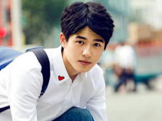 娱乐圈演技派（十位演技派的小鲜肉）