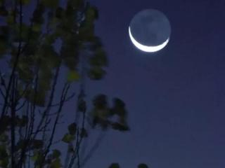 古代四大才女是哪四个（中国古代四大才女及其代表作）