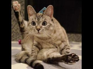 酒店开的房记录别人能查吗（酒店开房记录竟然会泄露）