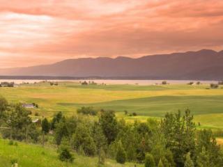 开心句子说说心情短语（开心快乐搞笑的说说）