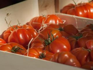 什么可以淡化斑点（女性常食可淡化斑点）