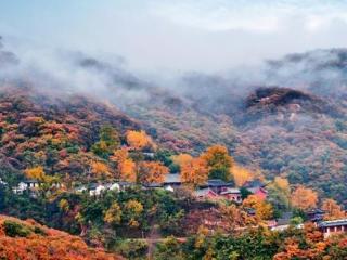 花果山水帘洞在哪里，江苏这座山叫花果山