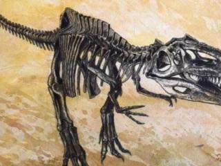 什么恐龙最厉害（地球史上10大最强恐龙）