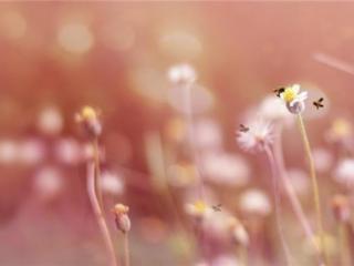 给自己一句坚强的话（致自己坚强的经典励志句子）