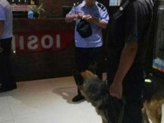 如何查询自己去过的酒店（如何查询自己的住宿记录）