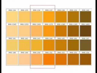 姜黄配什么颜色好看（姜黄色怎么搭配色彩呢）