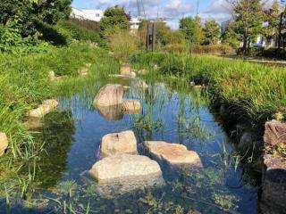 不能生孩子的女人（生不出孩子的女人最后）