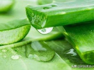 芦荟胶有什么作用（​芦荟胶五大实用功能大公开）