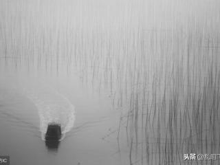 离婚后一直单身的男人（离婚的男人多年不结婚）