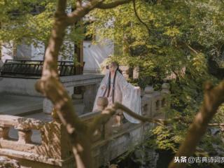 墙头马上遥相顾（墙头马上遥相顾一见知君即断肠）