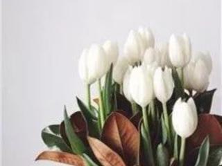 嘴角干燥起皮怎么办（秋冬嘴角干燥、脱皮、发炎）