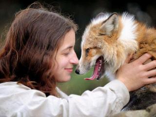 狗叫什么名字（盘点那些令人爆笑的名字）