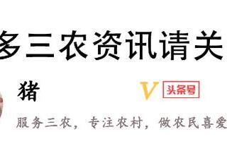 办丧事三天具体流程（15种丧礼流程全揭秘）