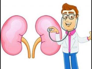 肾不好会有什么症状（肾脏不好的12条典型症状）