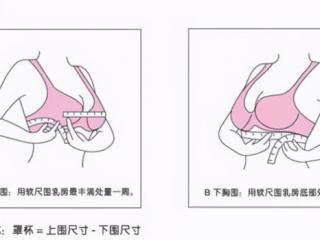 内衣尺寸怎么测量（不知道自己内衣穿什么尺码）