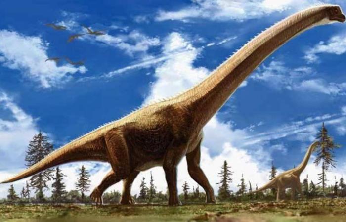 世界上最大的恐龙排名(世界10大的恐龙)