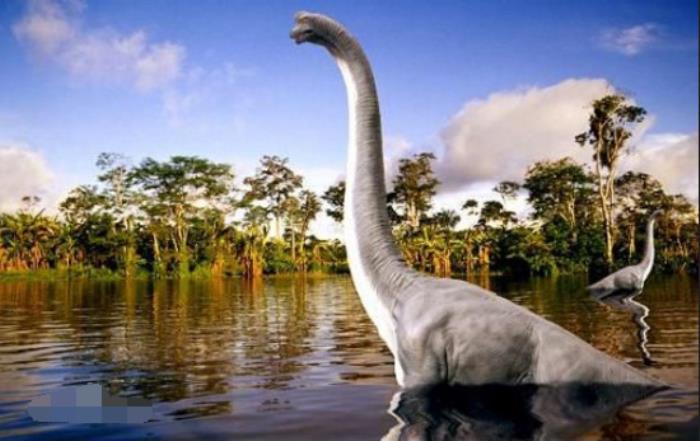 世界上最大的恐龙排名世界10大的恐龙