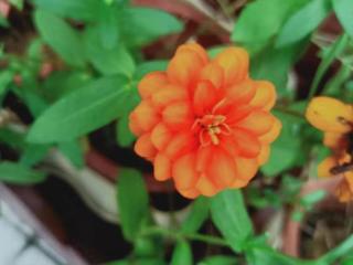 潇洒的女人是什么样子（做一个潇洒、豁达的女人）