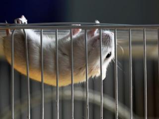 男人为什么会身体出轨（男人出轨都是为了性）