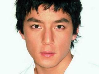 香港男演员大全（香港电影巅峰期男影星）