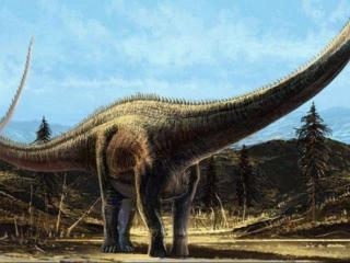 世界上最大的恐龙排名（世界10大的恐龙）