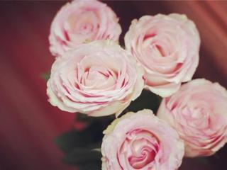 一个男生喜欢你的表现（男人对你有这四个表现时）