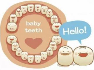 小孩几个月长牙（婴儿几个月时开始出牙）