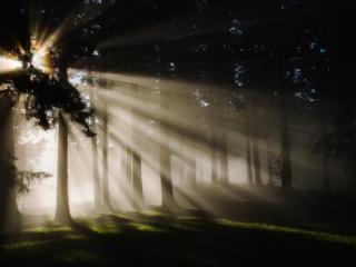 杨丞琳与李荣浩（李荣浩杨丞琳婚后一年分居）