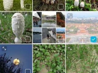 照片拼图怎么弄（怎样用手机制作图片拼图）