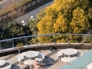 张杰谢娜的宝宝（张杰谢娜抱双胞胎罕露面）