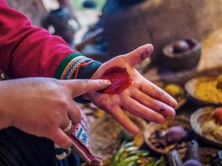 口红是用什么虫子做的（是制作高级口红的必需品）