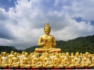 修身养性的66句禅语（佛学六十六句震撼世界的禅语）