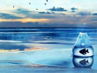 相忘于江湖是分手吗（不如相忘于江湖到底是在说什么呢）