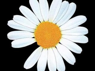 权志龙的品牌（权志龙个人品牌重启）