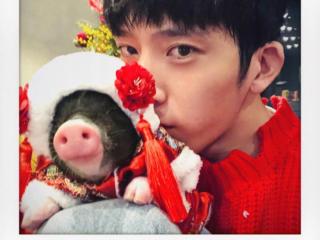 井柏然的微博（时隔2年半井柏然回归微博）