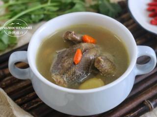 清炖鸽子的最好做法（鸽子汤要这样炖才最滋补）