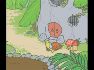 困困喜欢吃什么（乌龟松鼠猫头鹰喜欢食物介绍）