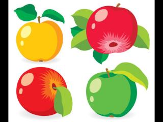 肺不好的人吃什么养肺（补肺养肺的食疗方有哪些）