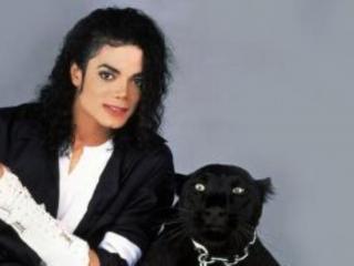 麦克热杰克逊（揭开迈克尔杰克逊被谣言中伤后）