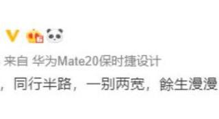 文章出轨了么（文章出轨5年后离婚）