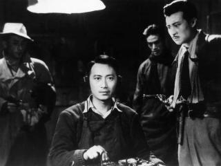 董卿主持的节目（董卿携新节目亮相央一黄金档）