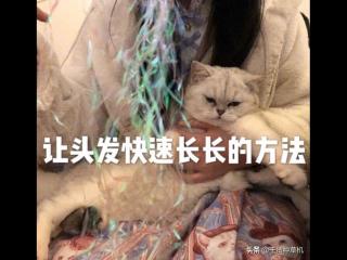 头发太短了怎样快点长长（让头发快速长长的方法）