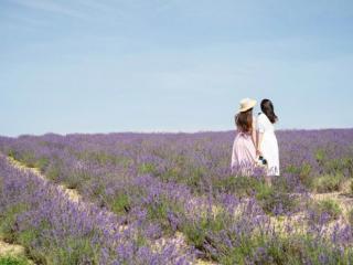 恋爱脑是什么意思（怎么样才能够避免让自己恋爱脑）