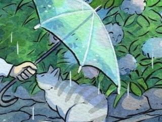 恋爱观是什么意思（什么是正确的恋爱观）