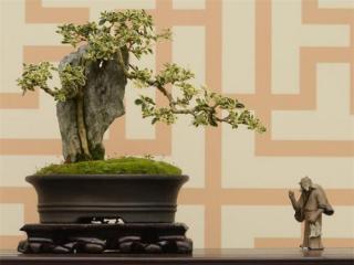 搬家送什么礼物吉利，朋友搬家送什么比较吉祥